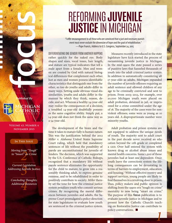 Criminal Justice System Essay