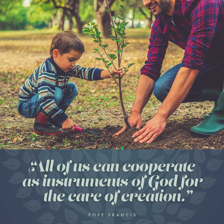 All of us can cooperate as instruments of God for the care of creation. —Pope Francis