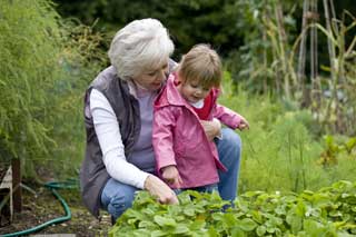 Grandmother and granddaughter working in the garden