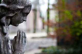 A stone angel prays in a cemetery