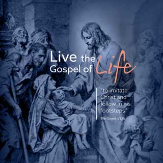 Live the Gospel of Life to imitate Christ and follow in his footsteps