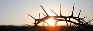 A crown of thorns outlined by the sun as it edges over the horizon.