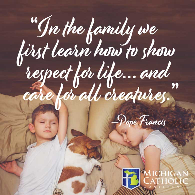 In the family we first learn how to show respect for life… and care for all creatures. —Pope Francis