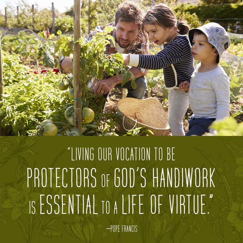 Living our vocation to be protectors of God’s handiwork is essential to a life of virtue. —Pope Francis