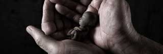 Black and white photo of cupped hands holding a depiction of a fetus