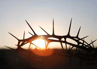 A crown of thorns outlined by the sun as it edges over the horizon.